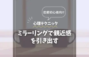 アイキャッチ_ミラーリング
